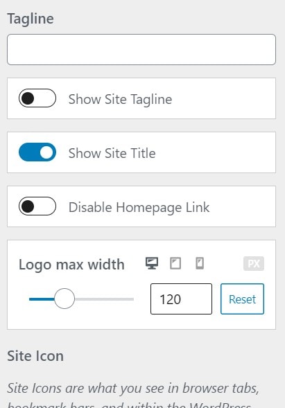 Methods to Change the WordPress Logo Size Using Theme Settings