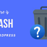 Where is Trash in WordPress